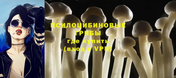 прущая мука Арсеньев