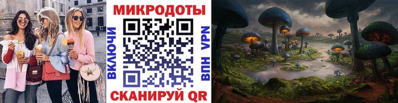 mega ссылки Бодайбо Галлюциногенные грибы Psilocybe